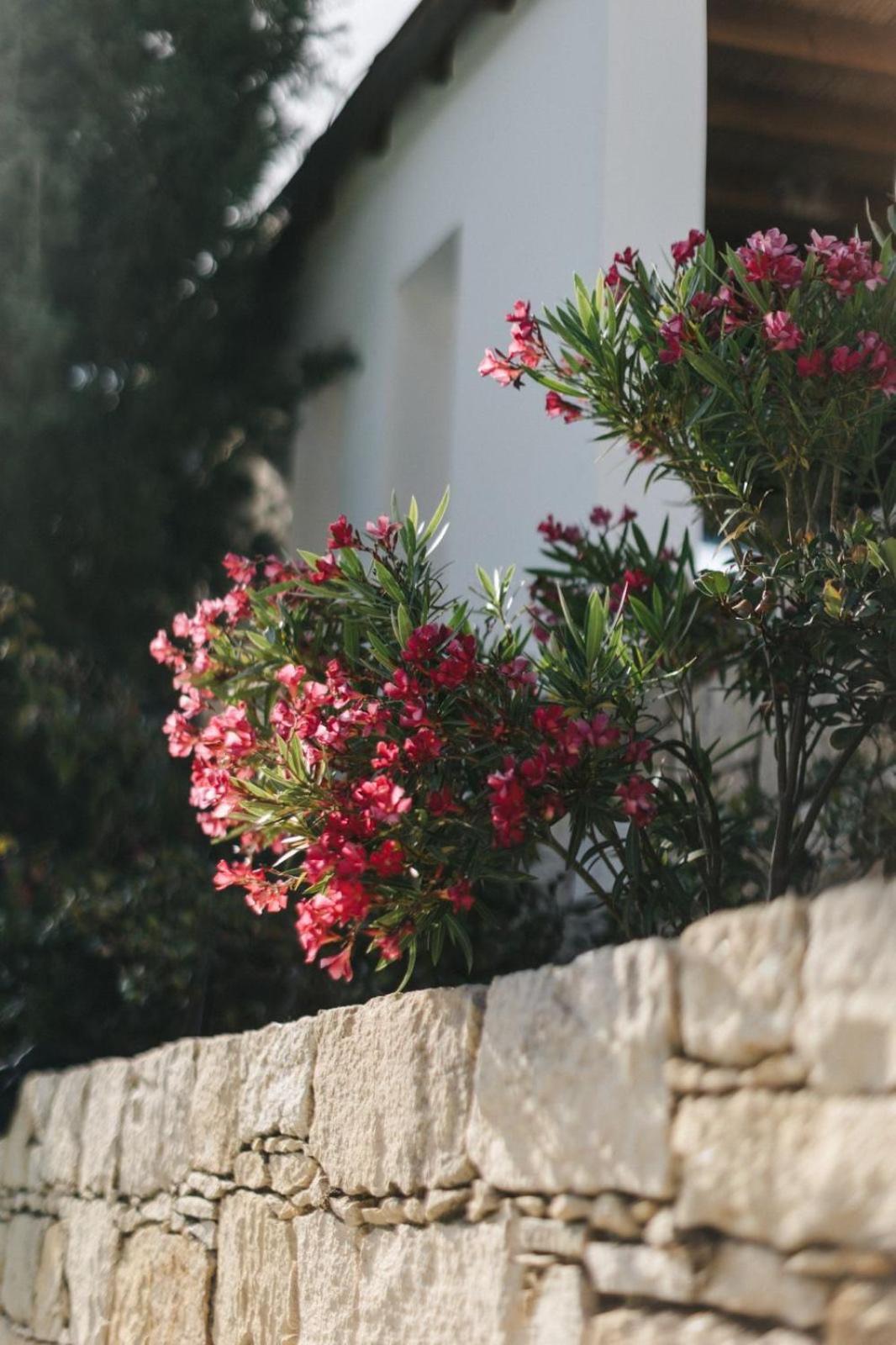 Cecilias Courtyard Pension Malya Buitenkant foto
